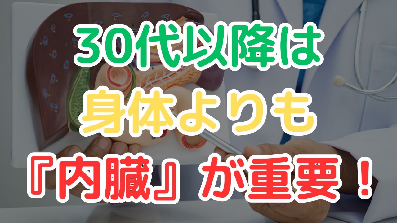 30代は内臓